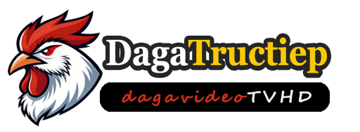 LOTO188|Thomo Đá gà TV - Xem Thomo đấu gà không trễ, HD không quảng cáo, xem gà Campuchia C1C2C3C4C5